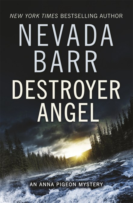 Destroyer Angel (Anna Pigeon Mysteries, Book 18)