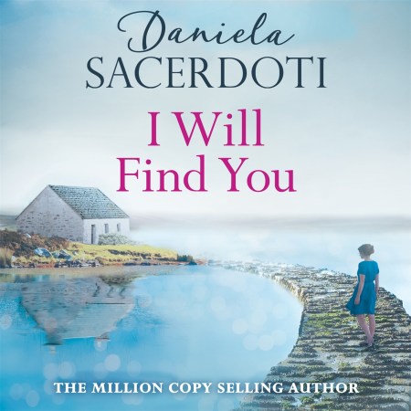 I Will Find You (A Seal Island novel)