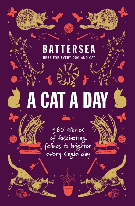 Battersea Dogs and Cats Home – A Cat a Day